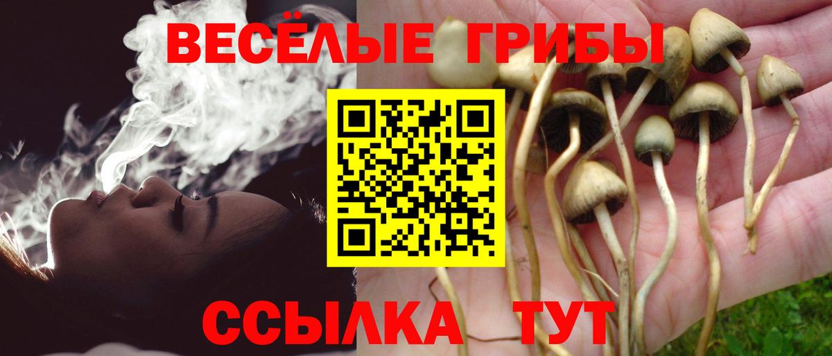 Галлюциногенные грибы Magic Shrooms Грязи