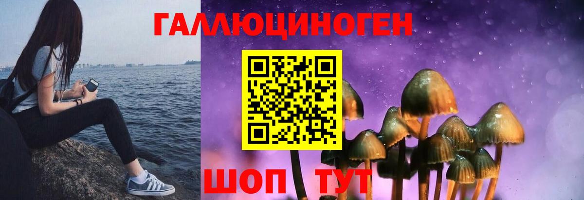 Грязи  Галлюциногенные грибы Psilocybe  Галлюциногенные грибы Magic Shrooms  Вход с VPN 